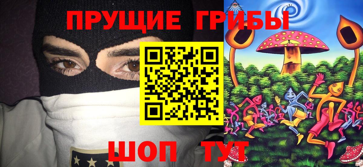Фурманов  Галлюциногенные грибы прущие грибы  Вход с VPN 